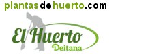 Plantas de Huerto